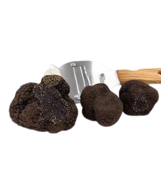 Tartufo Uncinato fresco PRIMA SCELTA tuber aestivum  Vitt.. Var. uncinatum  Provenienza Abruzzo(Italia)