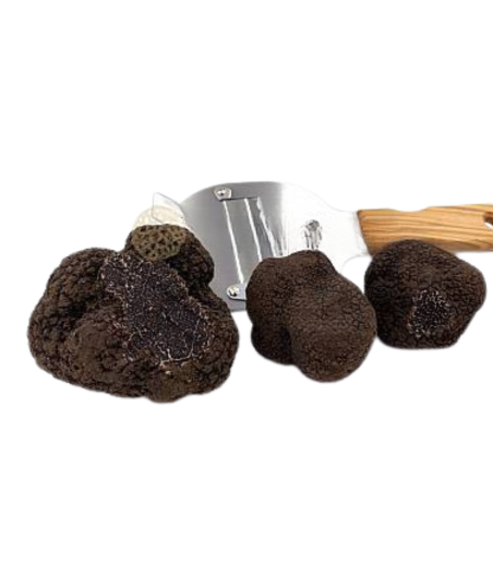 copy of Tartufo Estivo  fresco 1à scelta (Tuber Aestivum)