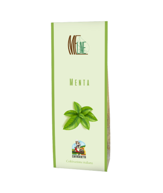 copy of Malva fiori e Foglie