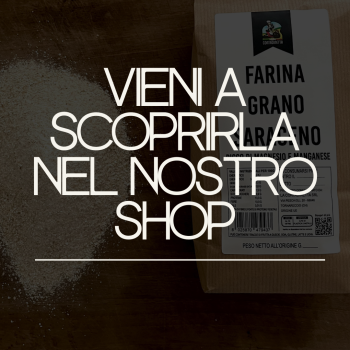 FARINA DI GRANO SARACENO (2)